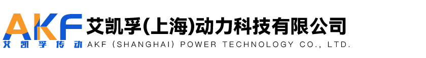 艾凯孚（上海）动力科技有限公司